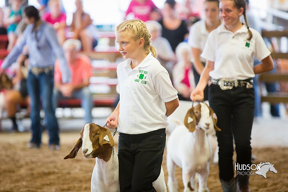 LCFair2016-1650.jpg