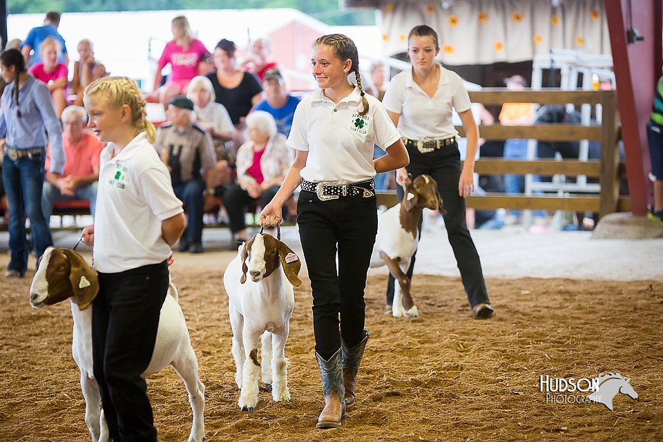 LCFair2016-1651.jpg