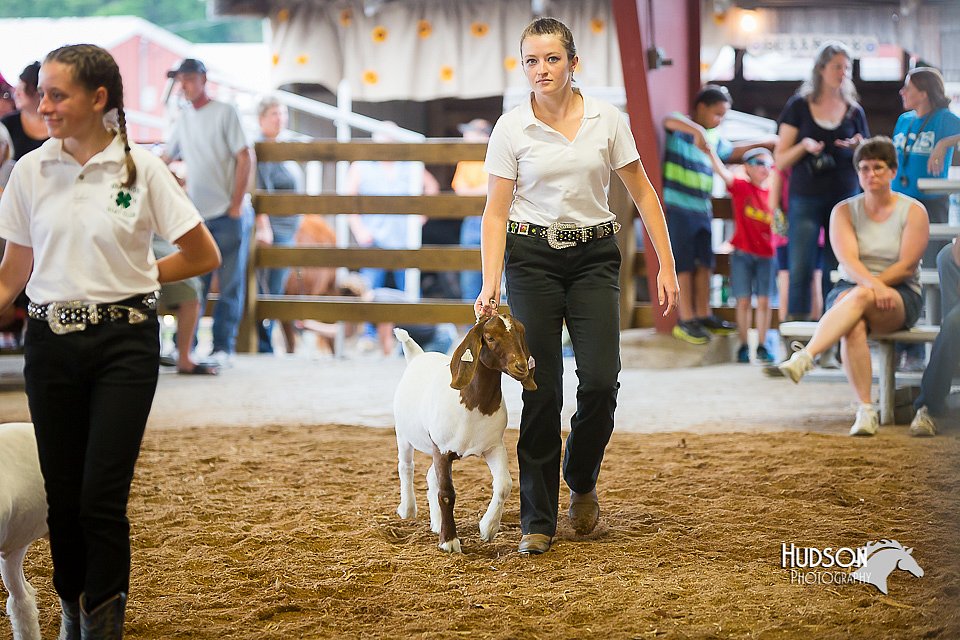LCFair2016-1653.jpg