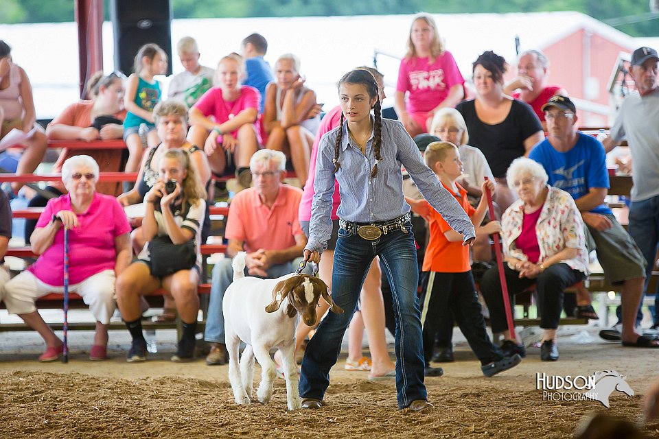 LCFair2016-1656.jpg