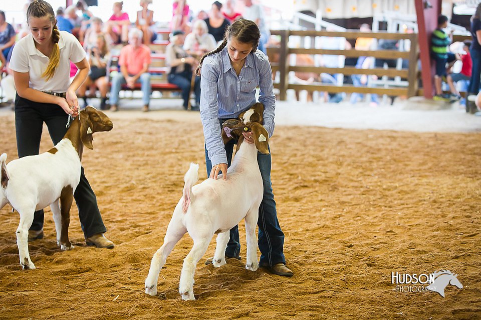 LCFair2016-1658.jpg