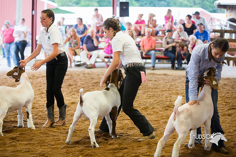 LCFair2016-1659.jpg