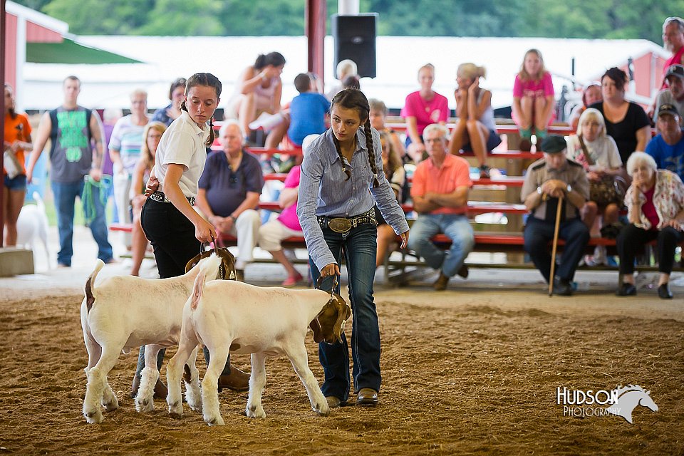 LCFair2016-1661.jpg