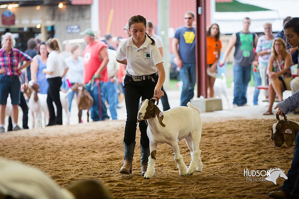 LCFair2016-1662.jpg