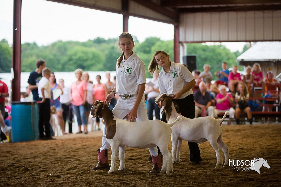 LCFair2016-1666.jpg