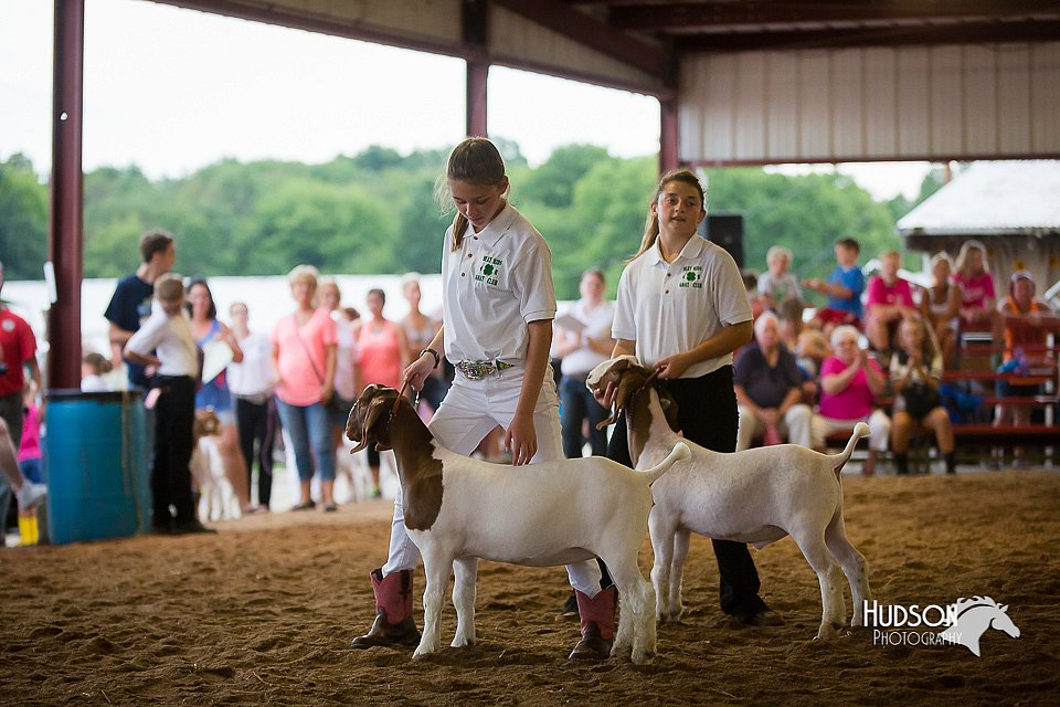 LCFair2016-1667.jpg