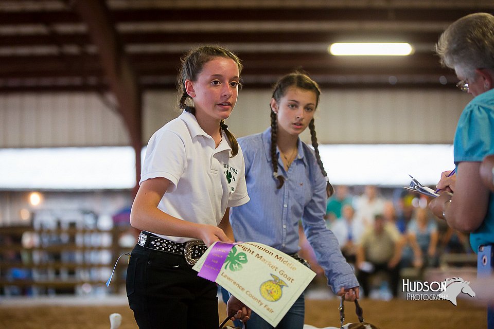 LCFair2016-1668.jpg