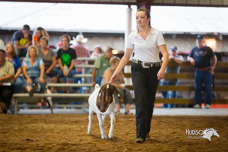 LCFair2016-1672.jpg