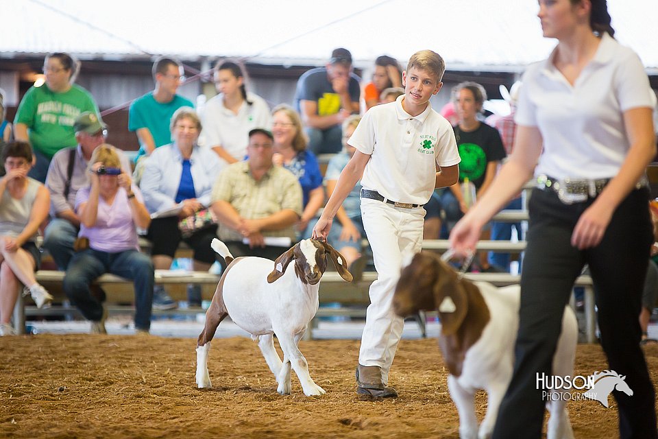LCFair2016-1673.jpg