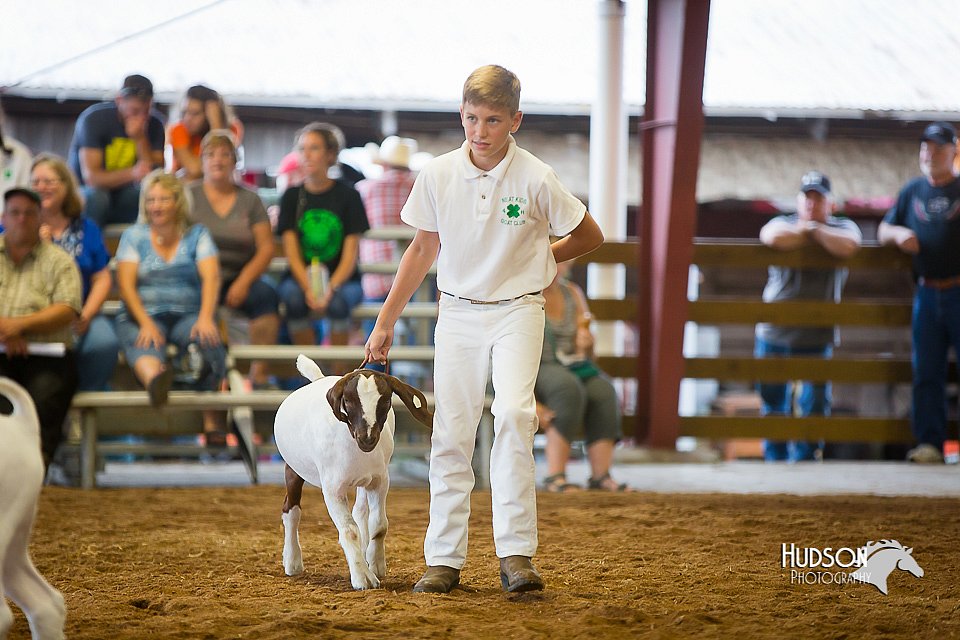 LCFair2016-1674.jpg