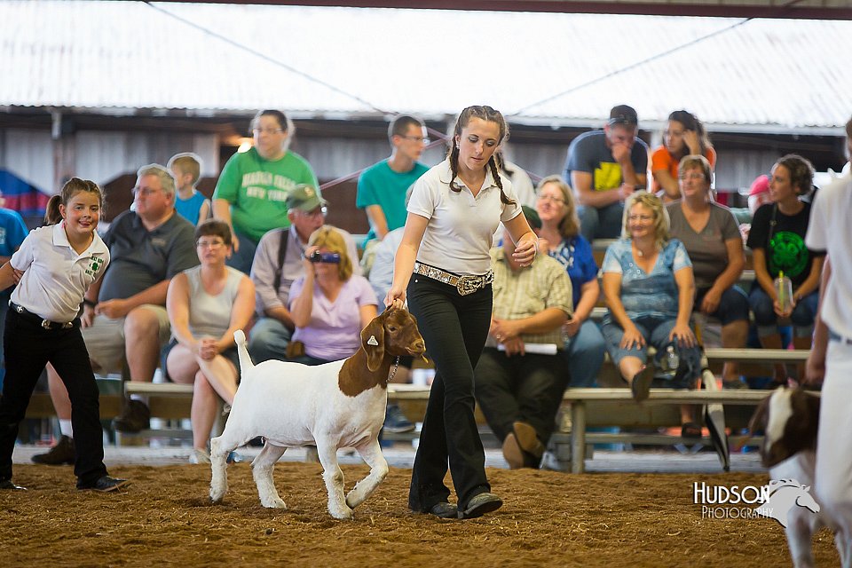 LCFair2016-1676.jpg