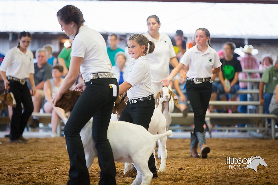LCFair2016-1677.jpg