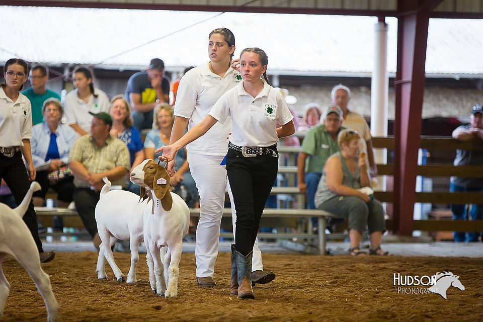 LCFair2016-1678.jpg