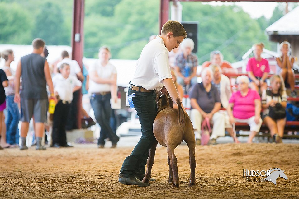 LCFair2016-1746.jpg