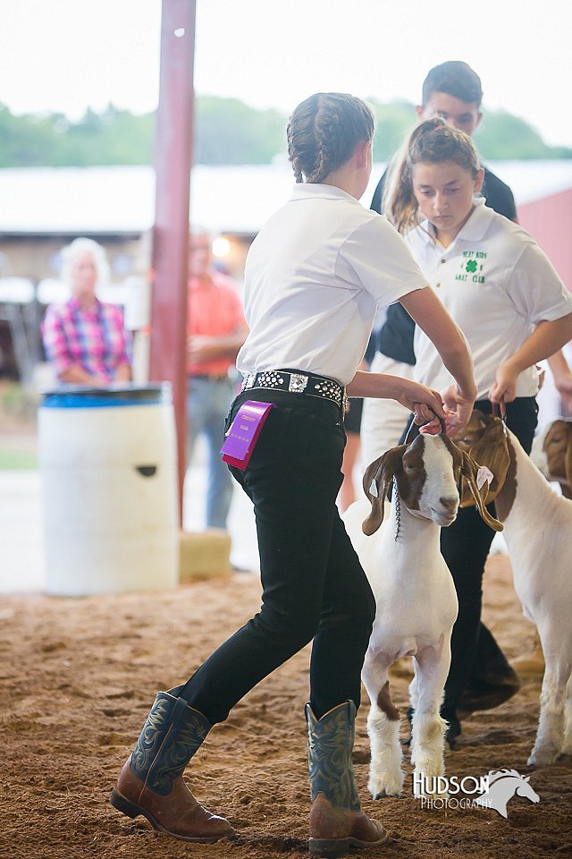 LCFair2016-1762.jpg