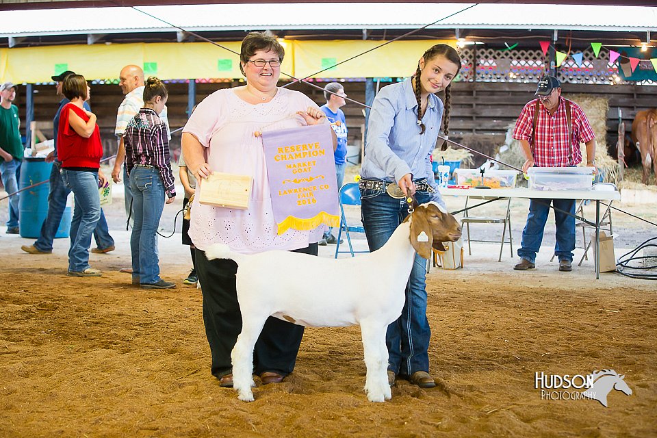 LCFair2016-1788.jpg