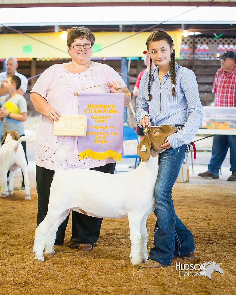 LCFair2016-1793.jpg