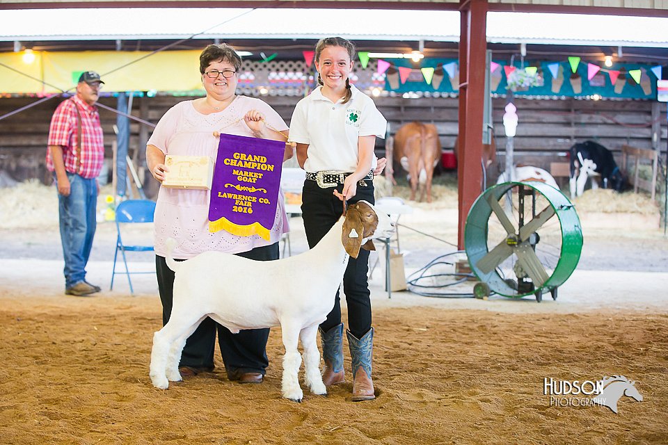 LCFair2016-1798.jpg