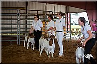 LCFair2016-1334.jpg