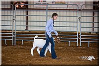 LCFair2016-1360.jpg