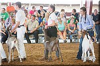 LCFair2016-1365.jpg