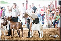 LCFair2016-1404.jpg