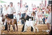 LCFair2016-1405.jpg