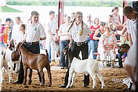 LCFair2016-1406.jpg