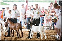 LCFair2016-1407.jpg
