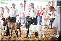 LCFair2016-1408.jpg