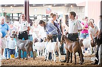 LCFair2016-1415.jpg