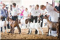 LCFair2016-1416.jpg