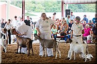 LCFair2016-1417.jpg