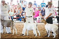 LCFair2016-1418.jpg