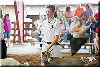 LCFair2016-1424.jpg