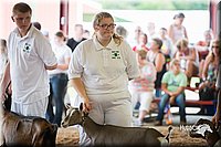 LCFair2016-1426.jpg