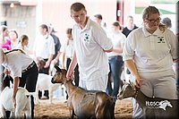 LCFair2016-1427.jpg