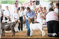 LCFair2016-1437.jpg