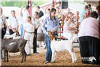 LCFair2016-1439.jpg
