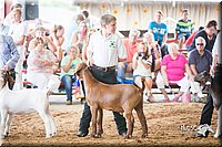 LCFair2016-1440.jpg