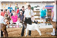 LCFair2016-1441.jpg