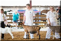 LCFair2016-1442.jpg