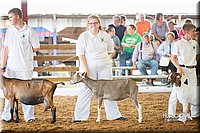 LCFair2016-1443.jpg
