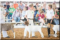 LCFair2016-1444.jpg