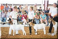 LCFair2016-1445.jpg