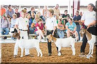 LCFair2016-1446.jpg