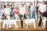 LCFair2016-1447.jpg