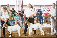 LCFair2016-1448.jpg