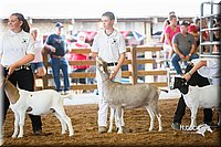 LCFair2016-1449.jpg