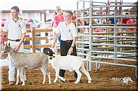 LCFair2016-1450.jpg